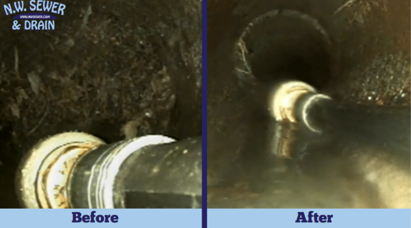 https://www.sewersolutions.com/service-areas/everett-wa/drain-cleaning/