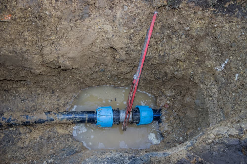 Leak Detection 101: Keeping Your Seattle Property Safe and Secure