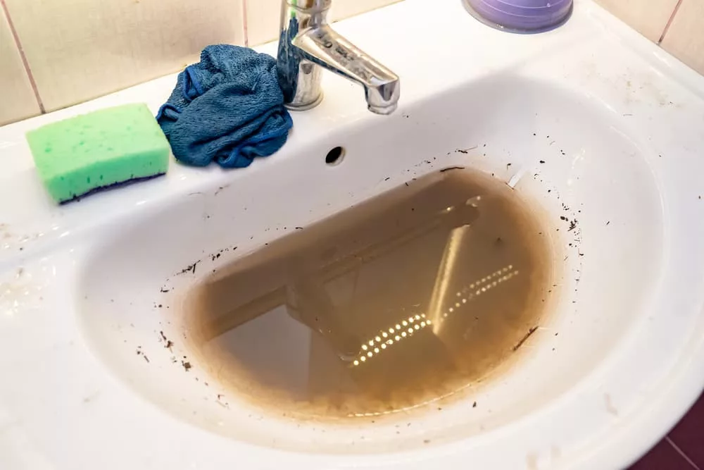 Sewer Odor as a Sign of Issues: What to Do When You Smell Sewer in Your House