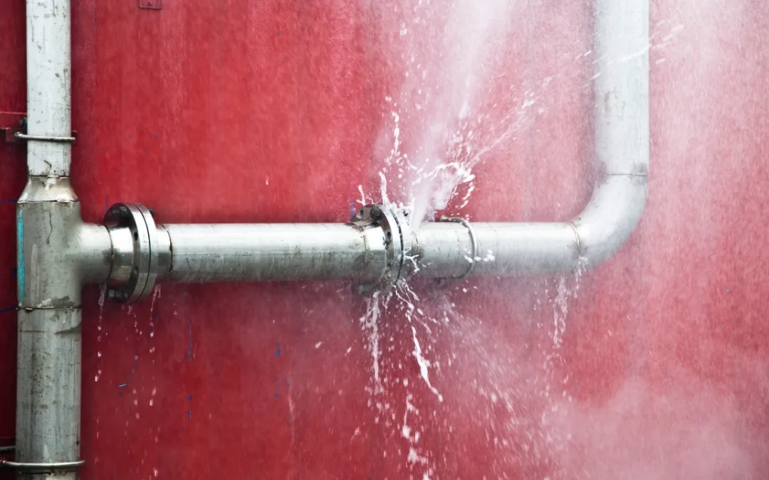 The Urgency of Leak Detection: Saving Time, Money, and Preventing Long-term Damage