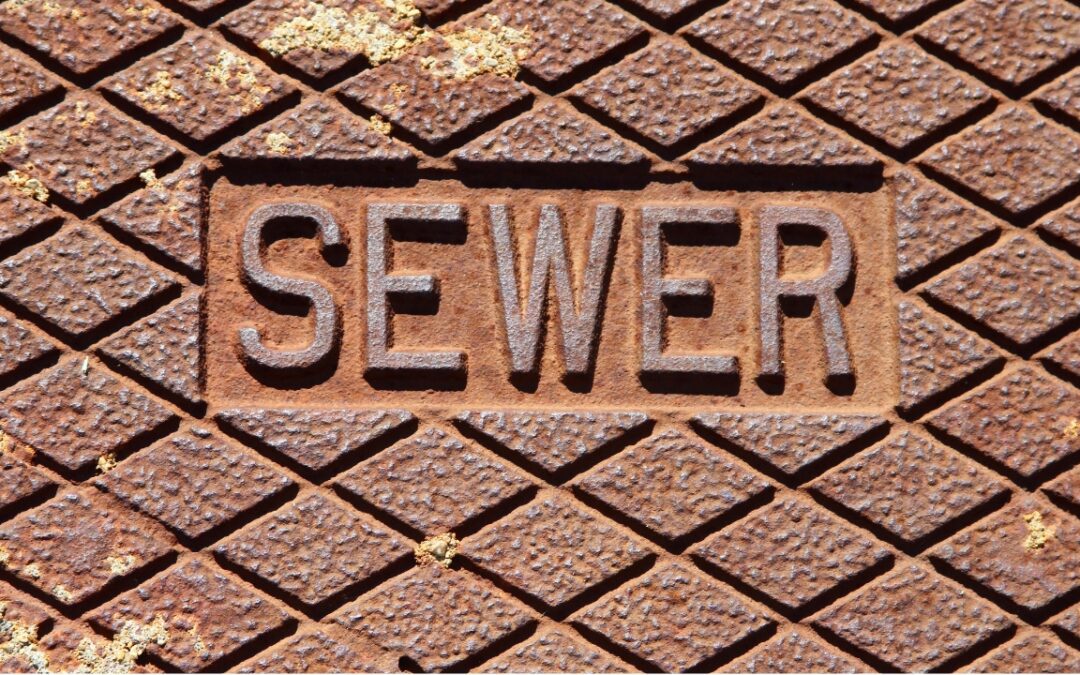 Unveiling the Mystery: Your Sewer Line’s Close-Up