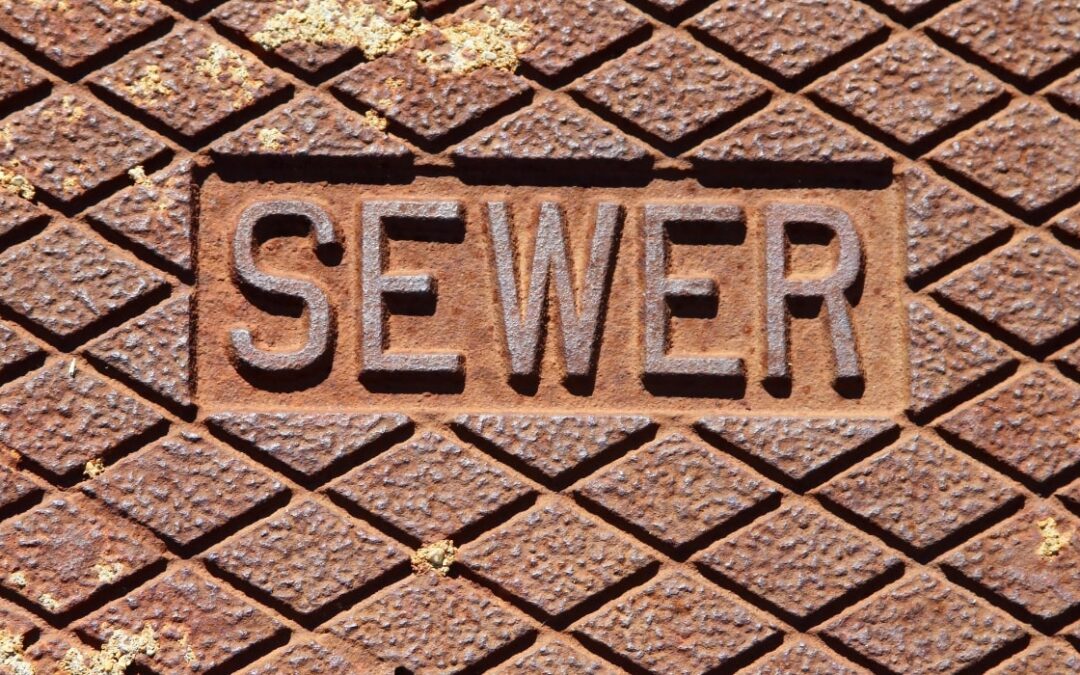 Sewer Emergency? Don’t Panic, Call the Right Pros: Why a Reputable Sewer Specialist is Your Lifesaver